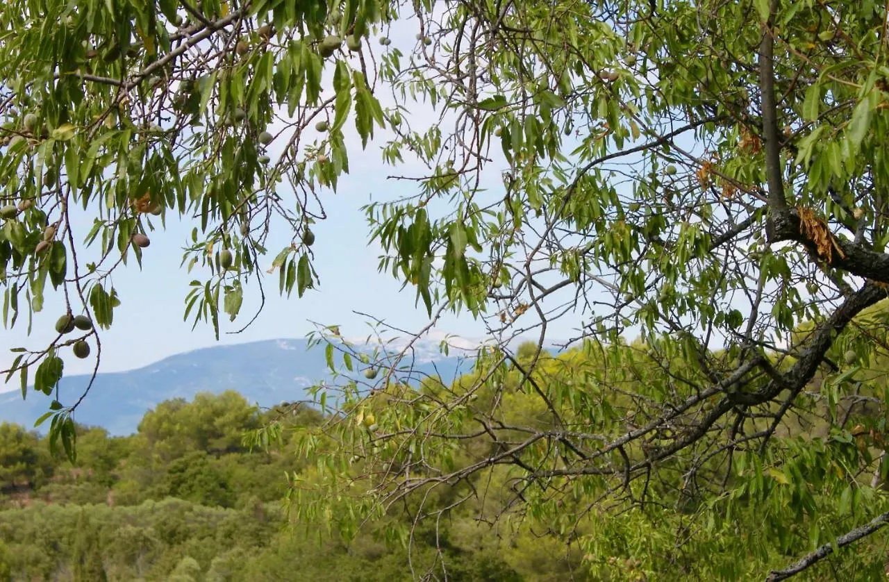 Mas De La Gonnette Bed & Breakfast Venasque